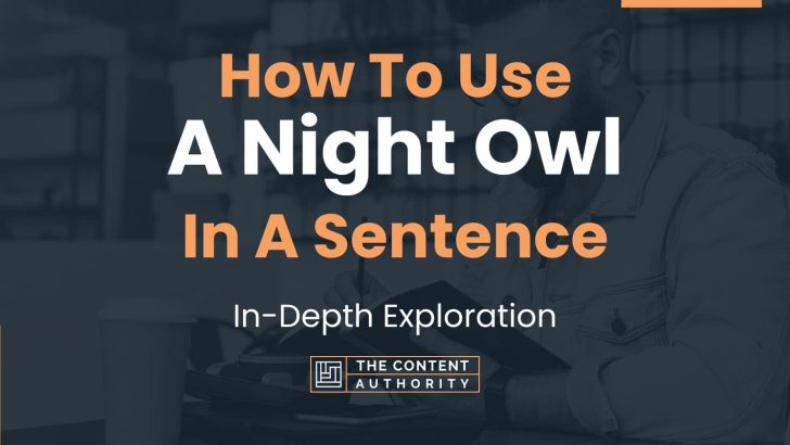 how-to-use-a-night-owl-in-a-sentence-in-depth-exploration