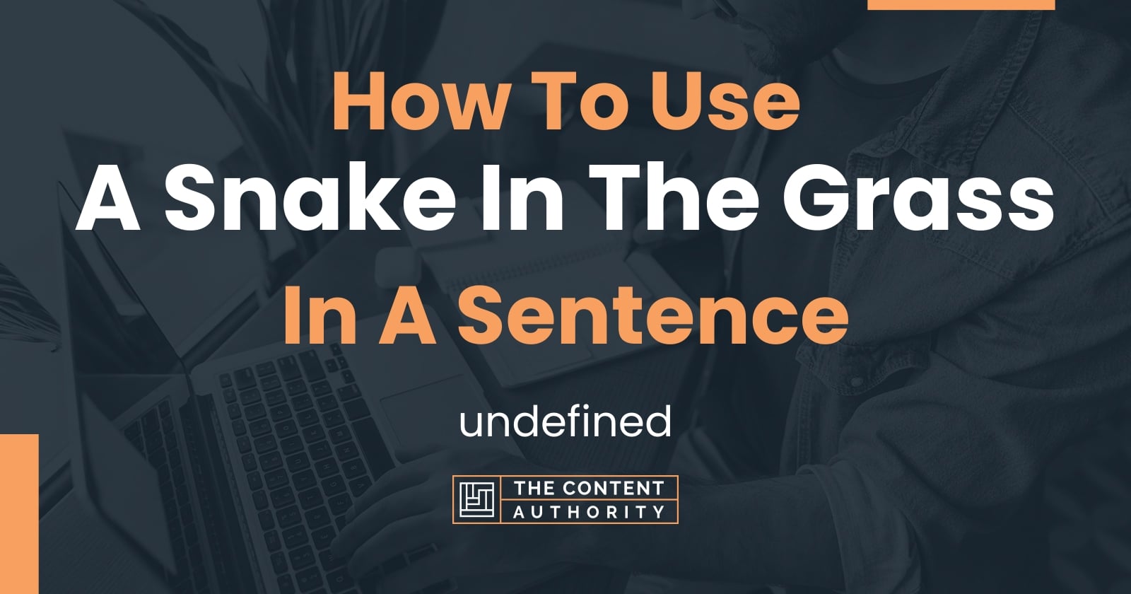 How To Use "A Snake In The Grass" In A Sentence undefined