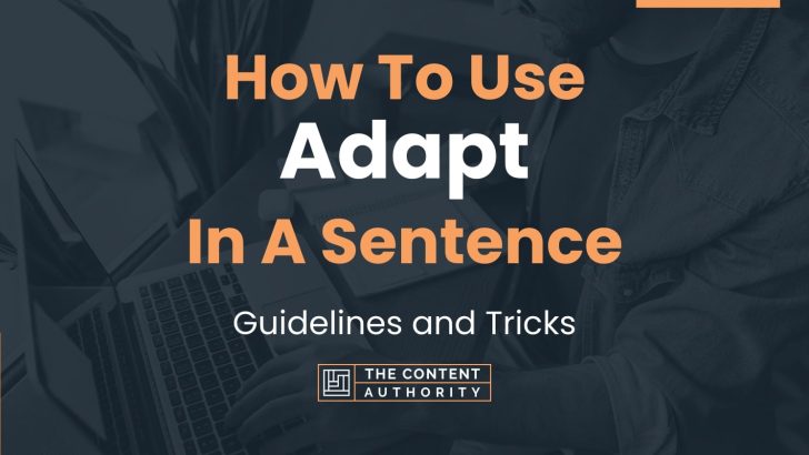 how-to-use-adapt-in-a-sentence-guidelines-and-tricks