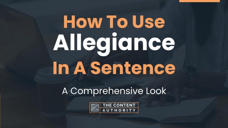 How Do You Use Allegiance In A Sentence