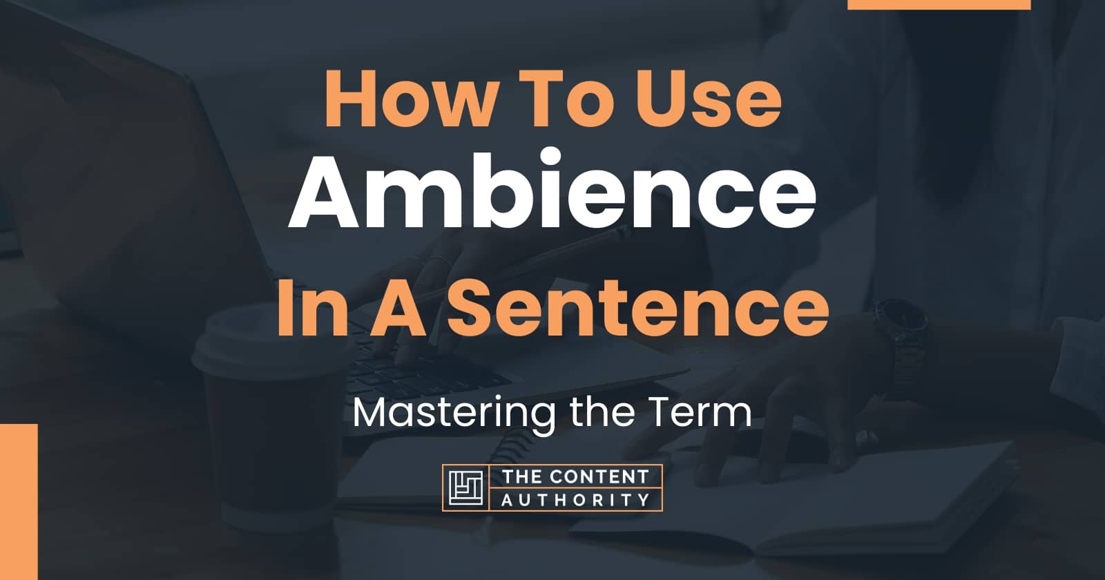 Example Of Sentence Using Ambience