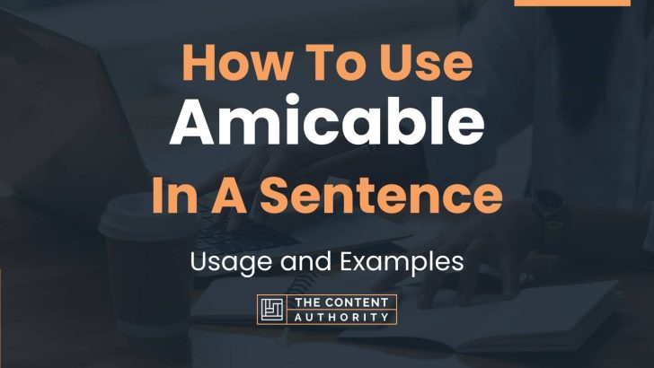 how-to-use-amicable-in-a-sentence-usage-and-examples