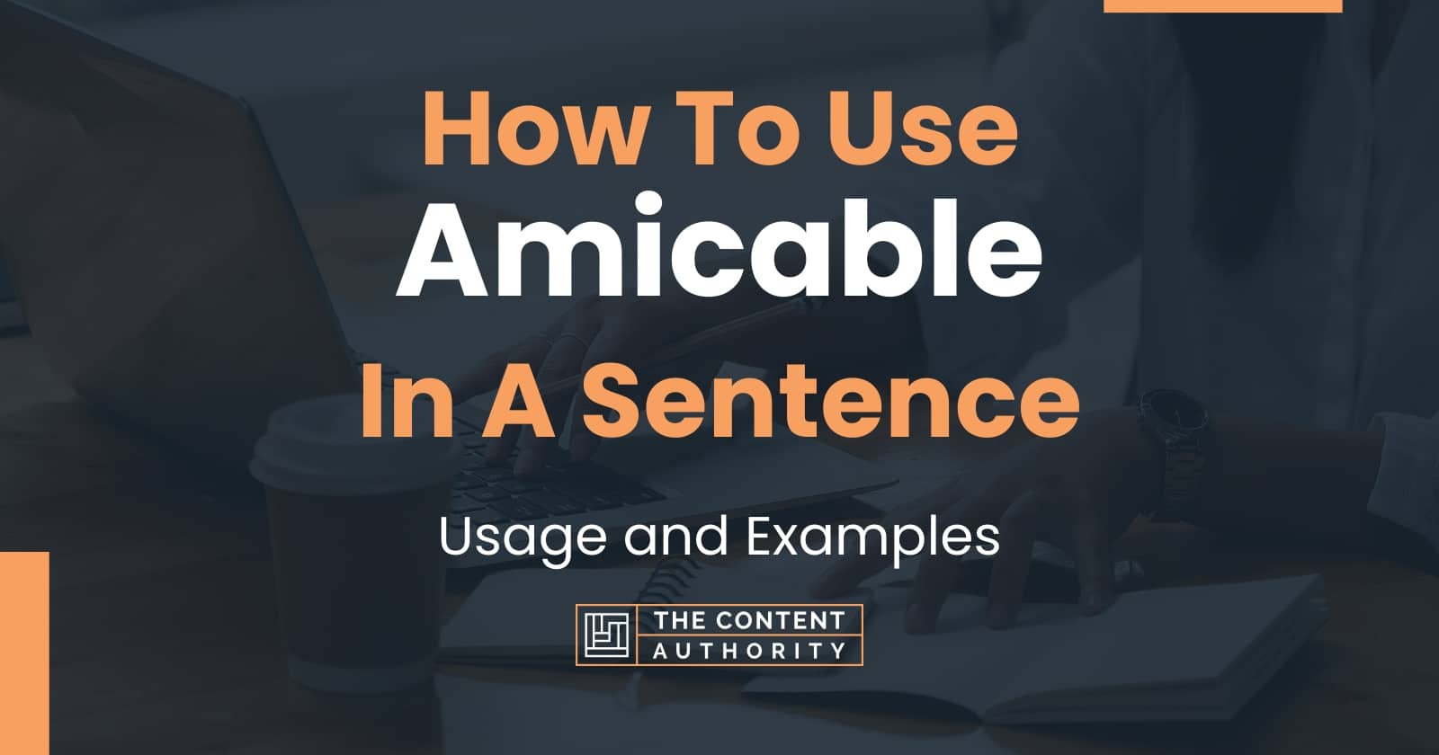 How To Use Amicable In A Sentence