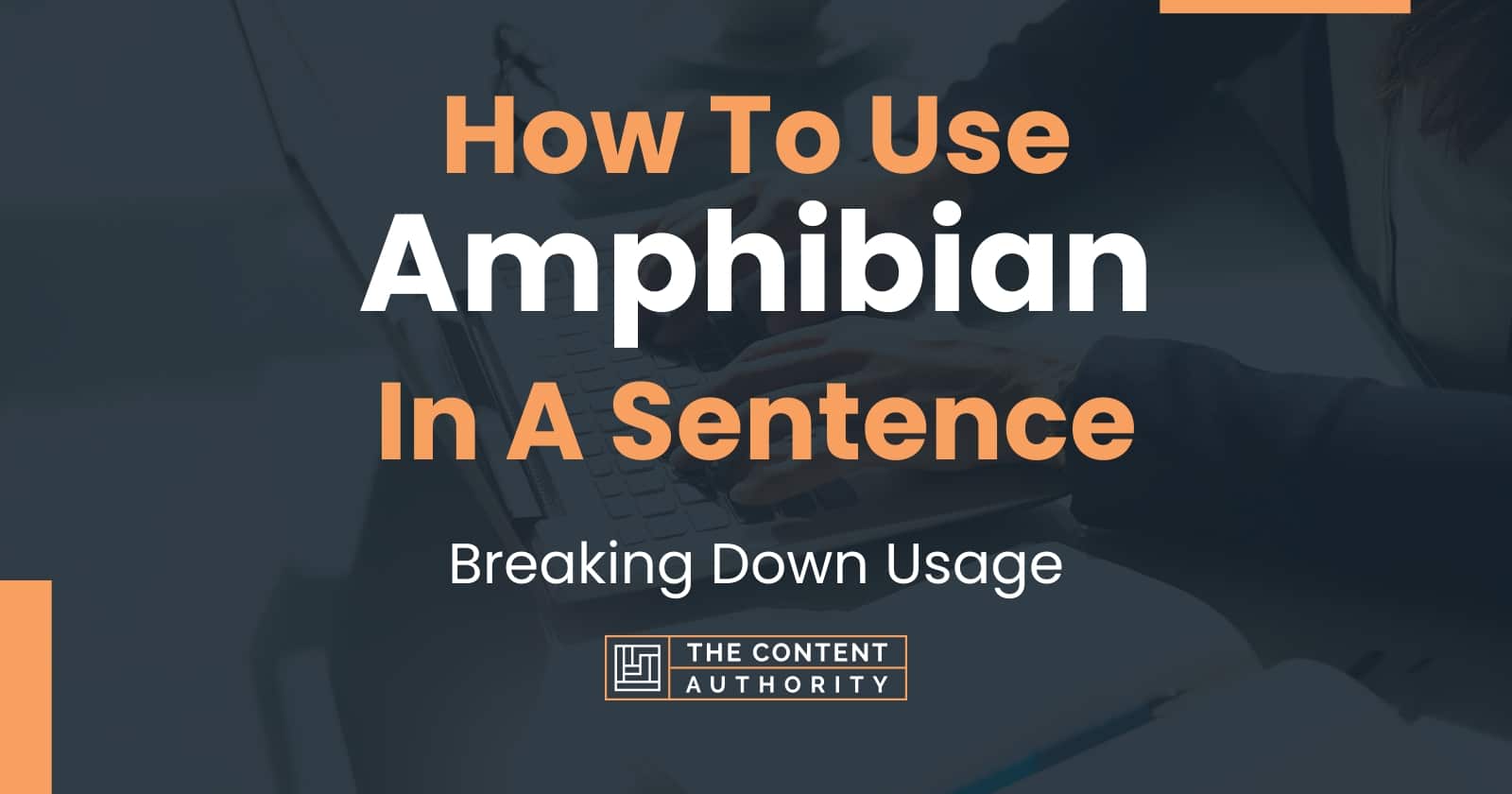 How To Use "Amphibian" In A Sentence: Breaking Down Usage