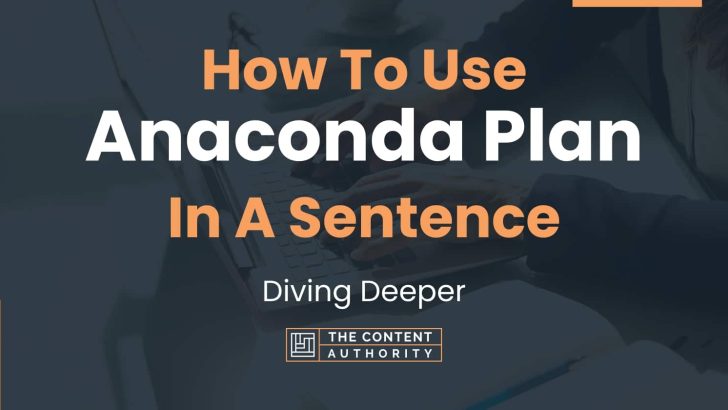 how-to-use-anaconda-plan-in-a-sentence-diving-deeper