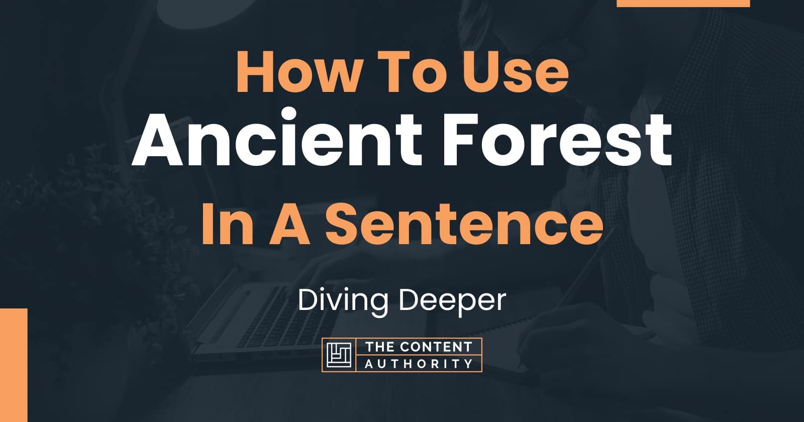 How To Use Ancient Forest In A Sentence Diving Deeper