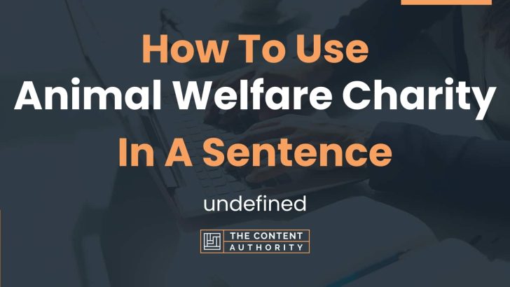 How To Use “Animal Welfare Charity” In A Sentence: undefined