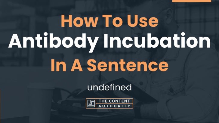 how-to-use-antibody-incubation-in-a-sentence-undefined