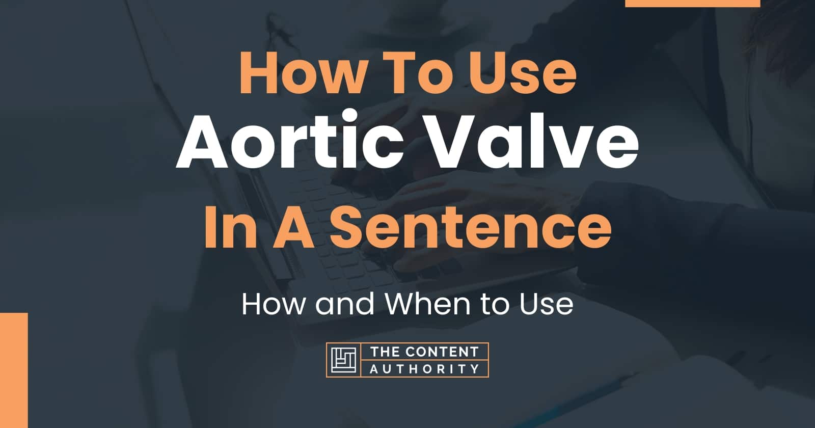 How To Use "Aortic Valve" In A Sentence How and When to Use