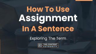 assignment meaning in a sentence