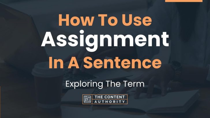 sentence with the word assignment in it