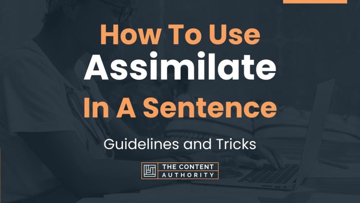 How To Use “Assimilate” In A Sentence: Guidelines and Tricks