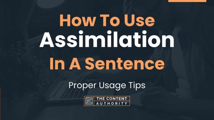 How To Use “Assimilation” In A Sentence: Proper Usage Tips