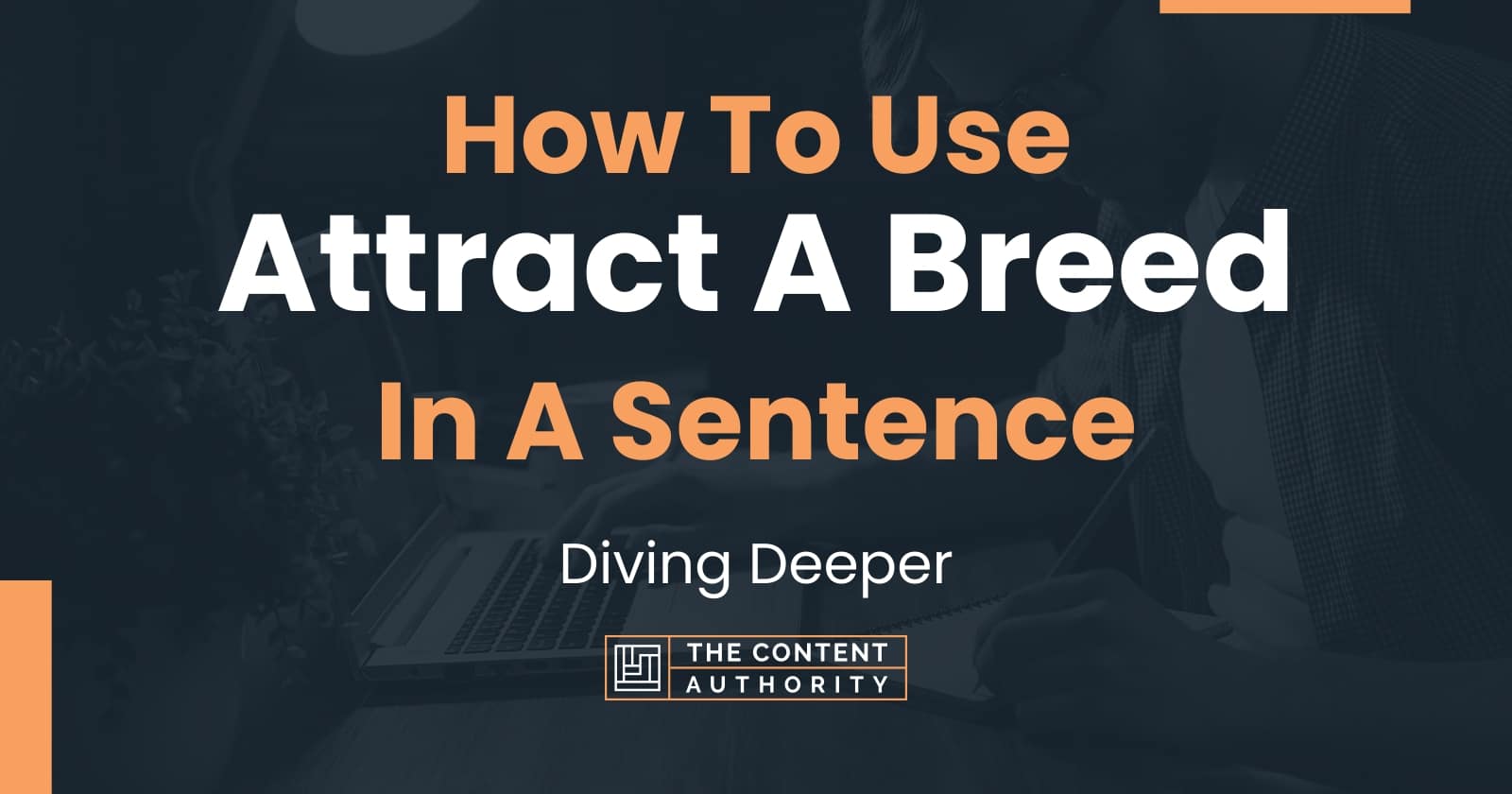 how-to-use-attract-a-breed-in-a-sentence-diving-deeper