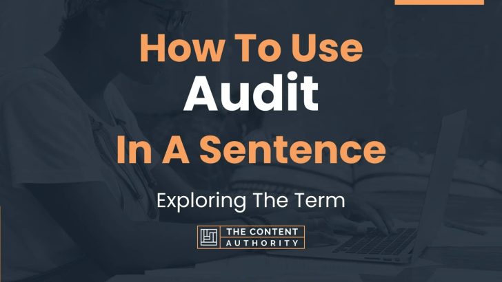 how-to-use-audit-in-a-sentence-exploring-the-term