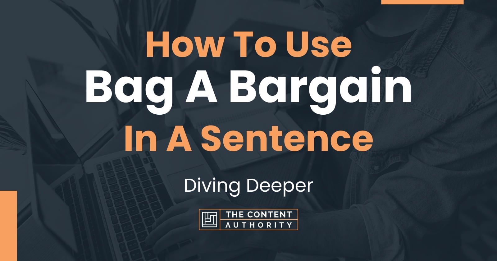 how-to-use-bag-a-bargain-in-a-sentence-diving-deeper