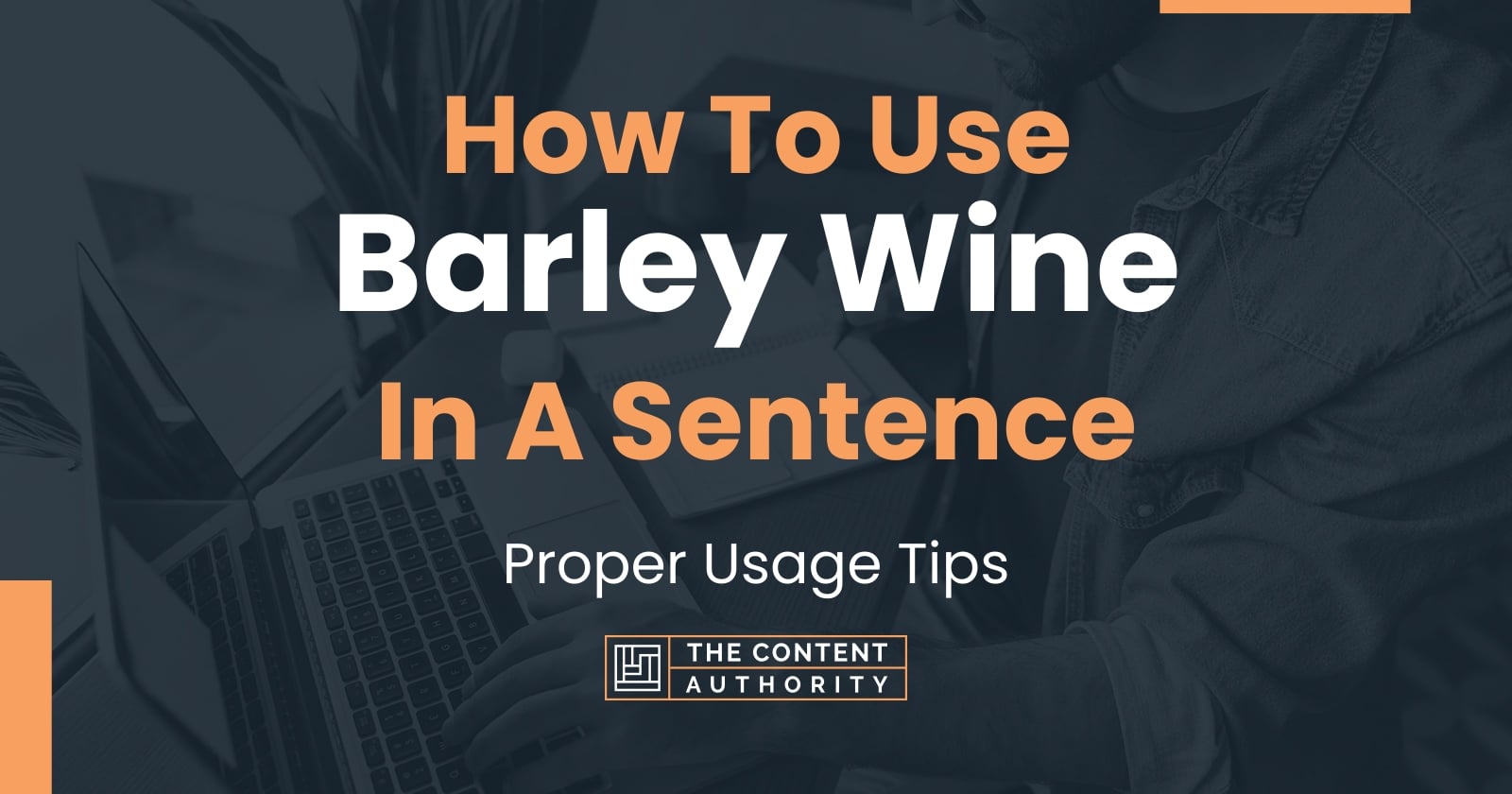 how-to-use-barley-wine-in-a-sentence-proper-usage-tips