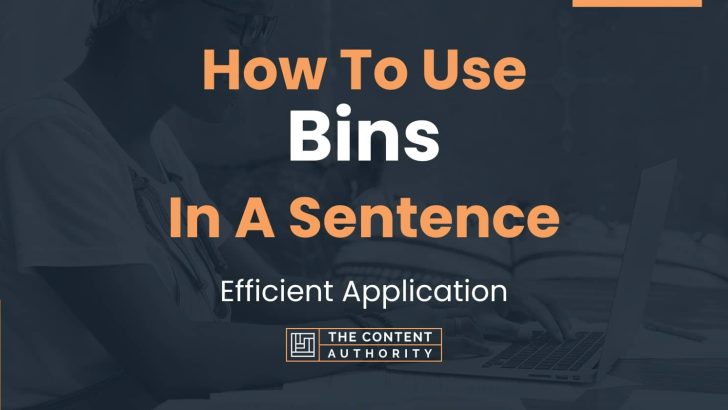How To Use “Bins” In A Sentence: Efficient Application