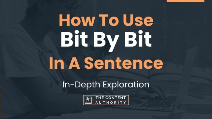How to use bit by bit in a sentence in depth exploration