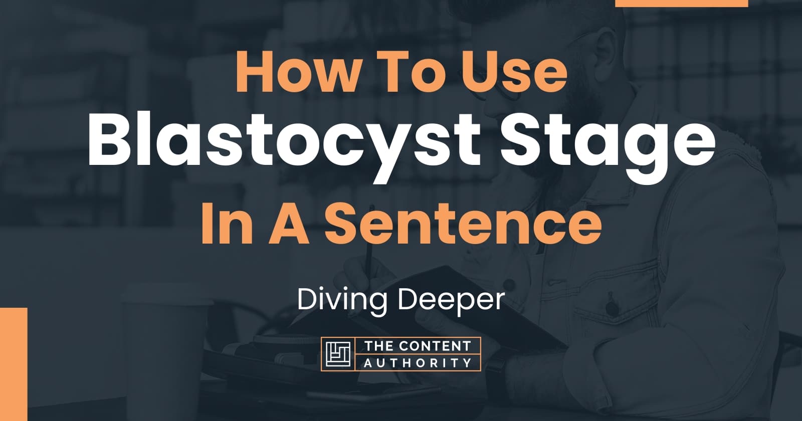 how-to-use-blastocyst-stage-in-a-sentence-diving-deeper