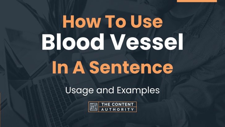 How To Use “Blood Vessel” In A Sentence: Usage and Examples