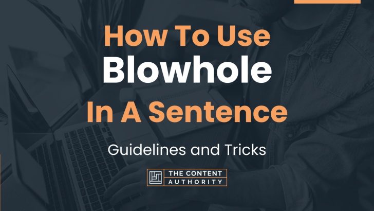 How To Use “Blowhole” In A Sentence: Guidelines and Tricks