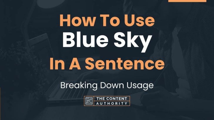 Use Blue Sky In A Sentence