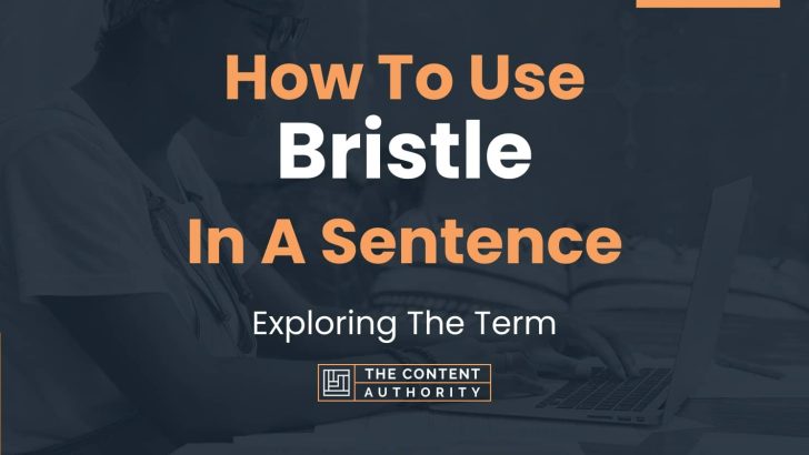 How To Use “Bristle” In A Sentence: Exploring The Term