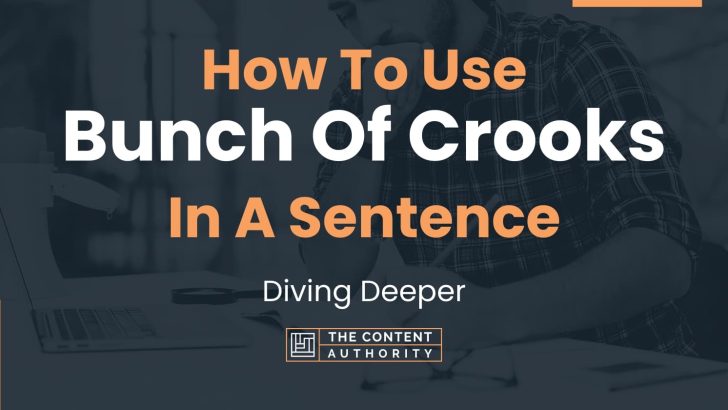 How To Use “Bunch Of Crooks” In A Sentence: Diving Deeper