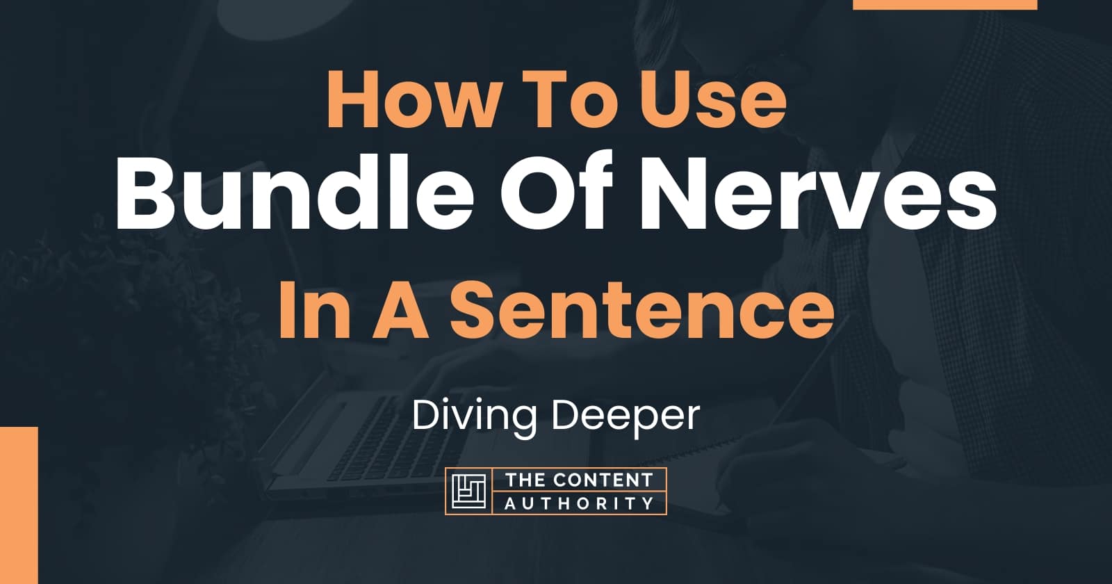 how-to-use-bundle-of-nerves-in-a-sentence-diving-deeper