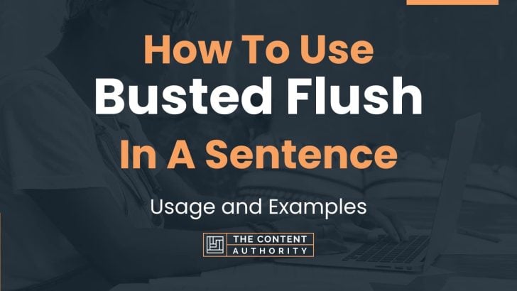 how-to-use-busted-flush-in-a-sentence-usage-and-examples