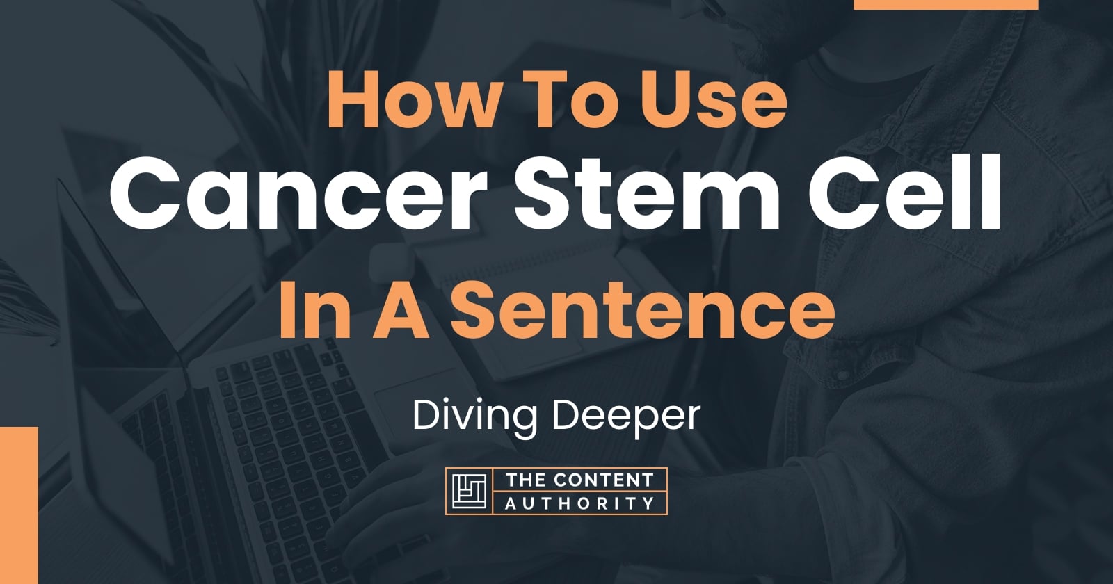 how-to-use-cancer-stem-cell-in-a-sentence-diving-deeper