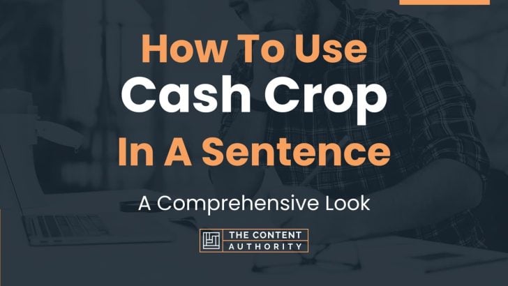 how-to-use-cash-crop-in-a-sentence-a-comprehensive-look