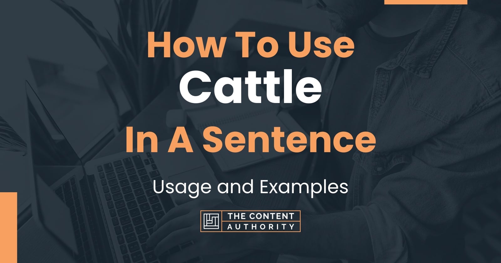 How To Use "Cattle" In A Sentence Usage and Examples