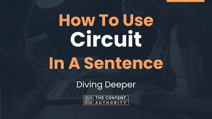 Use Circuit In A Sentence