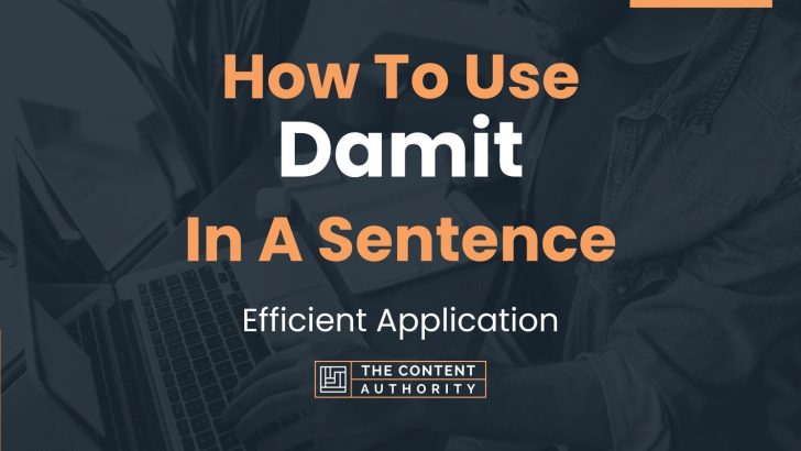 how-to-use-damit-in-a-sentence-efficient-application