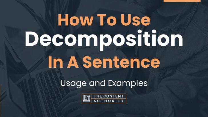 How To Use “Decomposition” In A Sentence: Usage and Examples