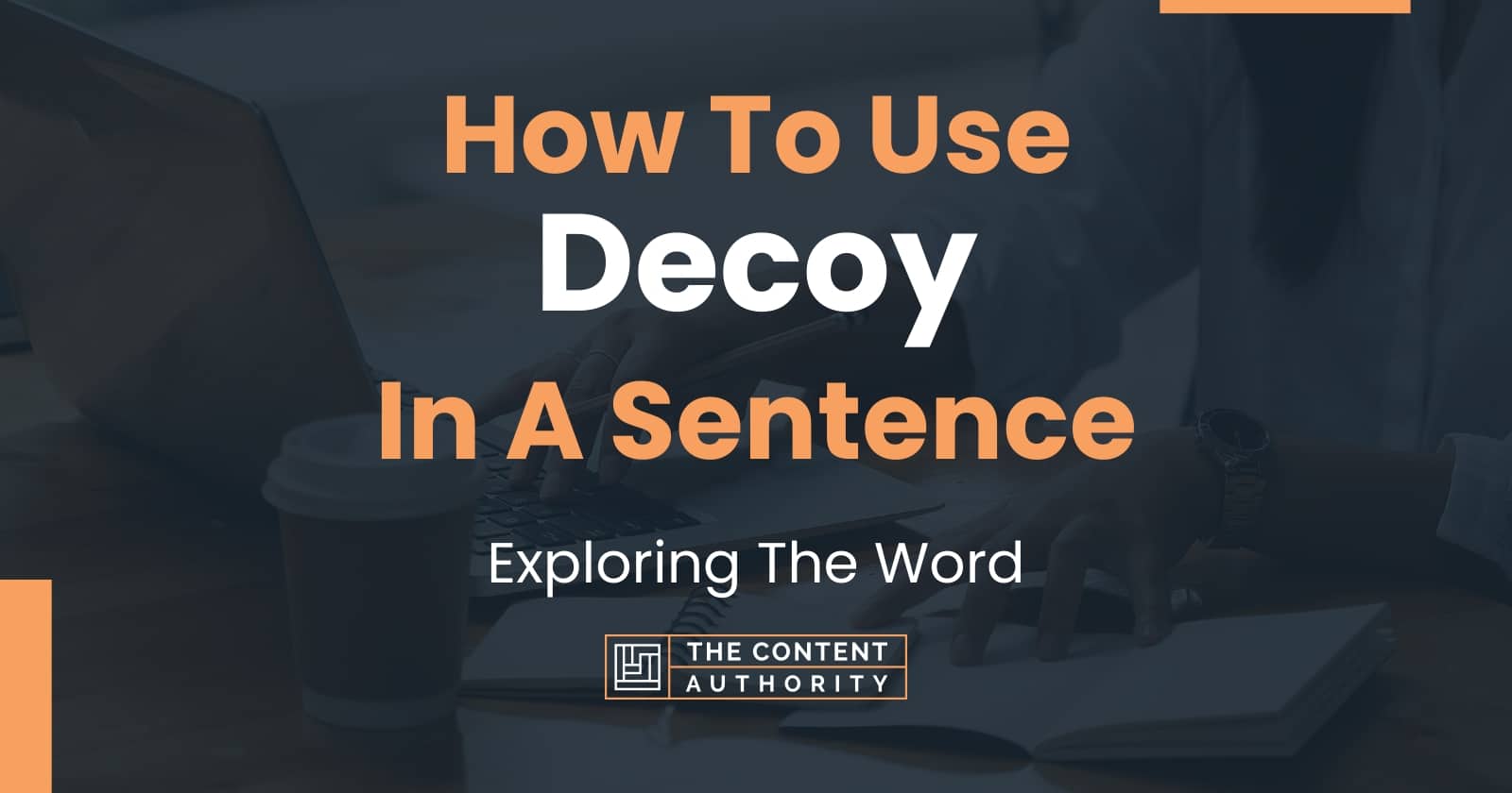 How To Use "Decoy" In A Sentence Exploring The Word