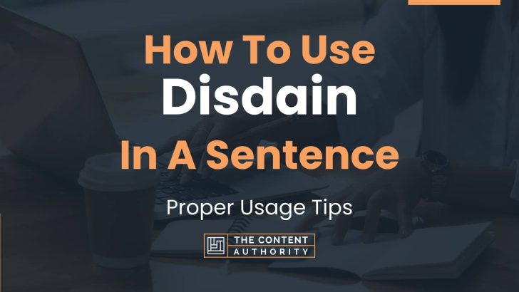 how-to-use-disdain-in-a-sentence-proper-usage-tips