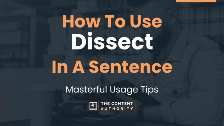How To Use “Dissect” In A Sentence: Masterful Usage Tips