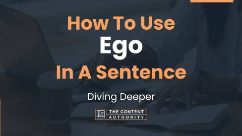 ego trip example sentence