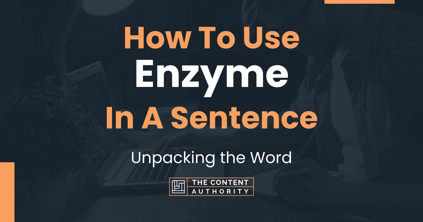 How To Use "Enzyme" In A Sentence Unpacking the Word