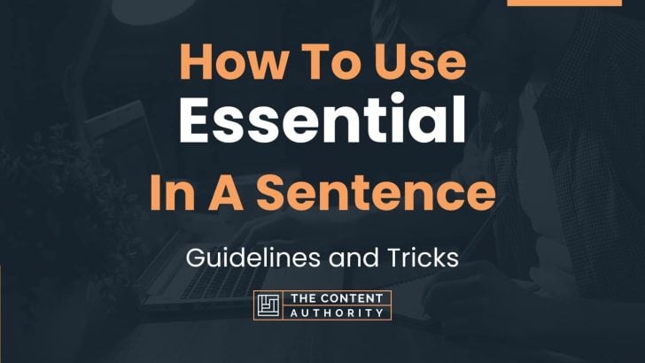 how-to-use-essential-in-a-sentence-guidelines-and-tricks