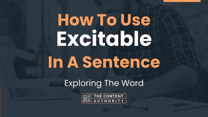 how-to-use-excitable-in-a-sentence-exploring-the-word