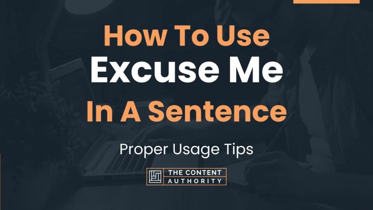 Use Excuse Me In A Sentence