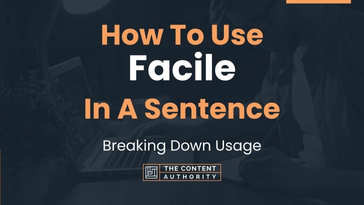 How To Use “Facile” In A Sentence: Breaking Down Usage