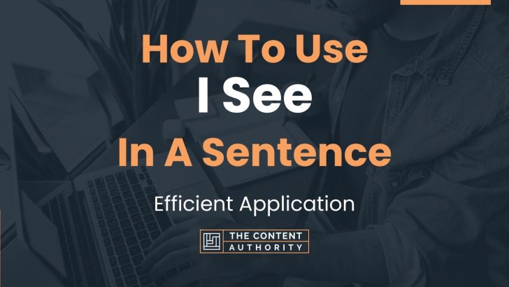 How To Use I See In A Sentence Efficient Application