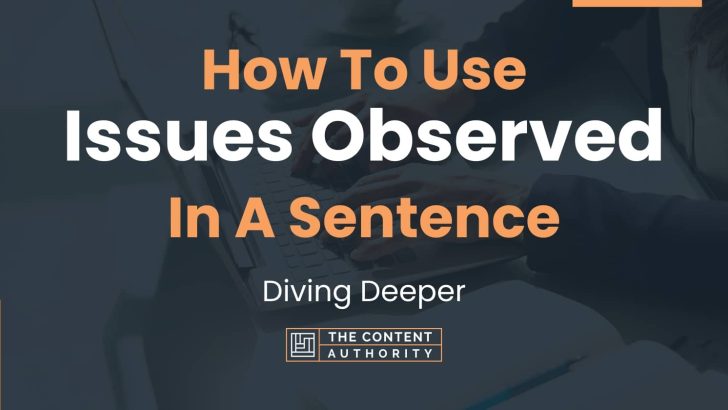 how-to-use-issues-observed-in-a-sentence-diving-deeper