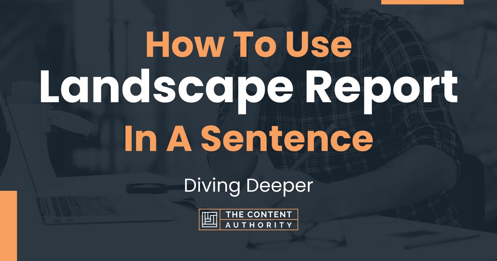 how-to-use-landscape-report-in-a-sentence-diving-deeper