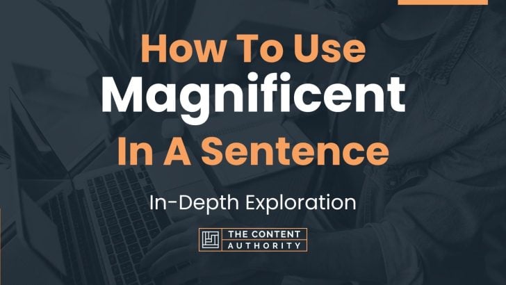 how-to-use-magnificent-in-a-sentence-in-depth-exploration